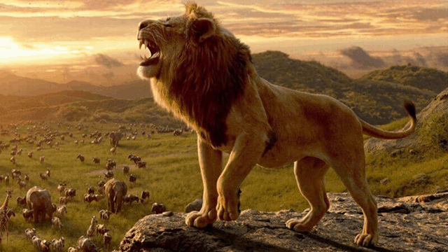 Nằm mơ thấy sư tử đánh con gì và điềm báo gì?